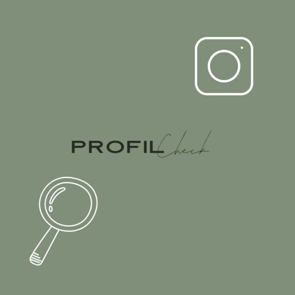 Instagram Profil Check